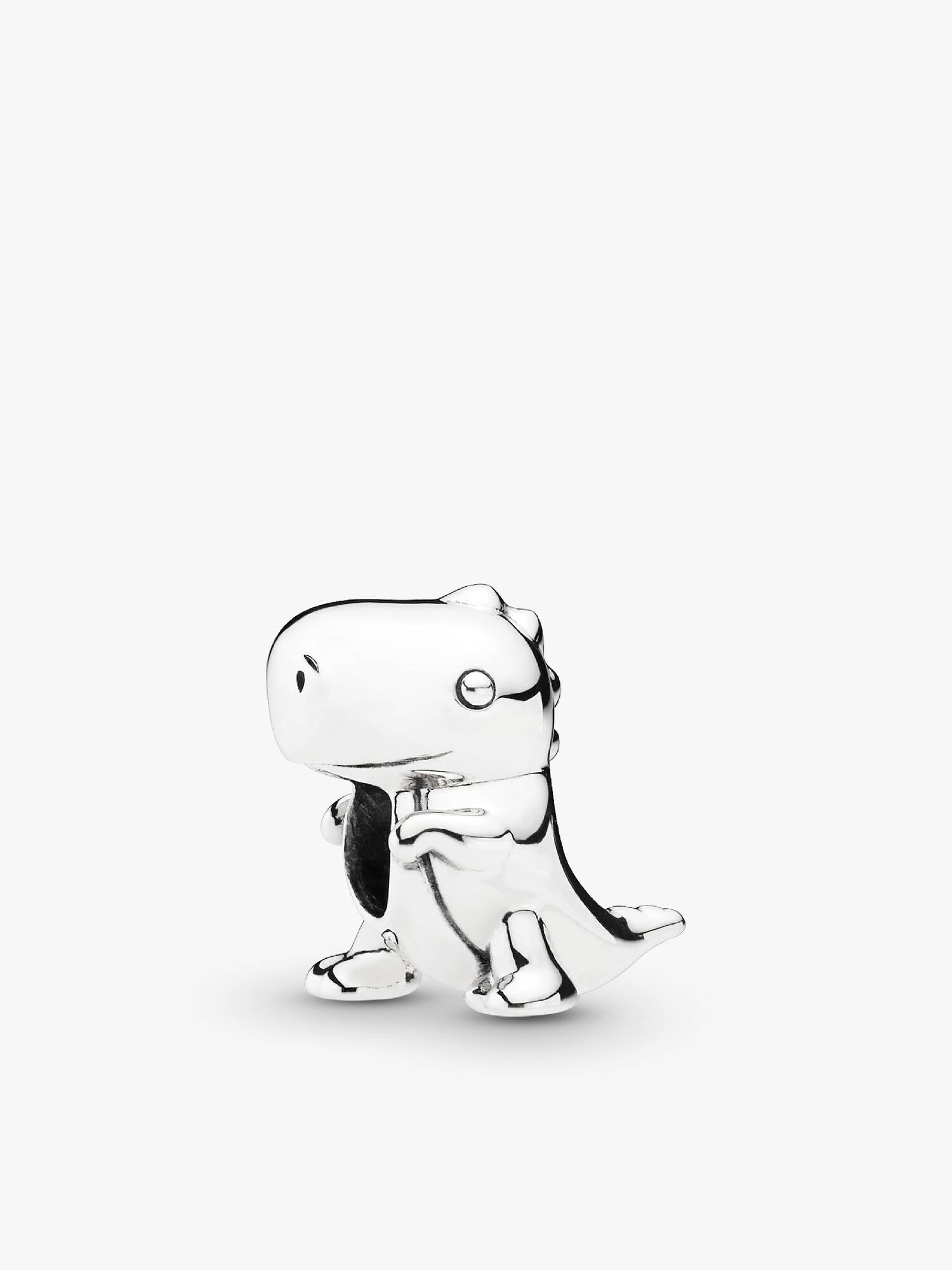 Dinosaur silver charm