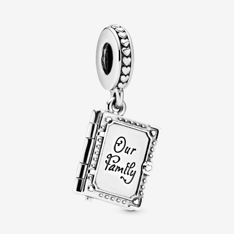 Family book openable silver dangle image number 0