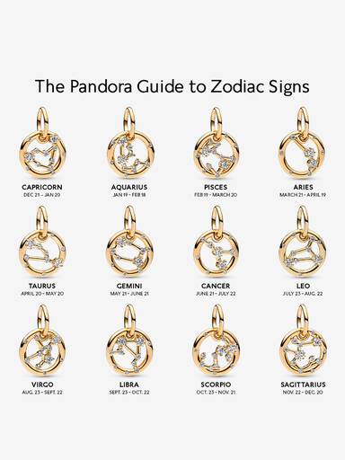 Leo Zodiac Dangle Charm