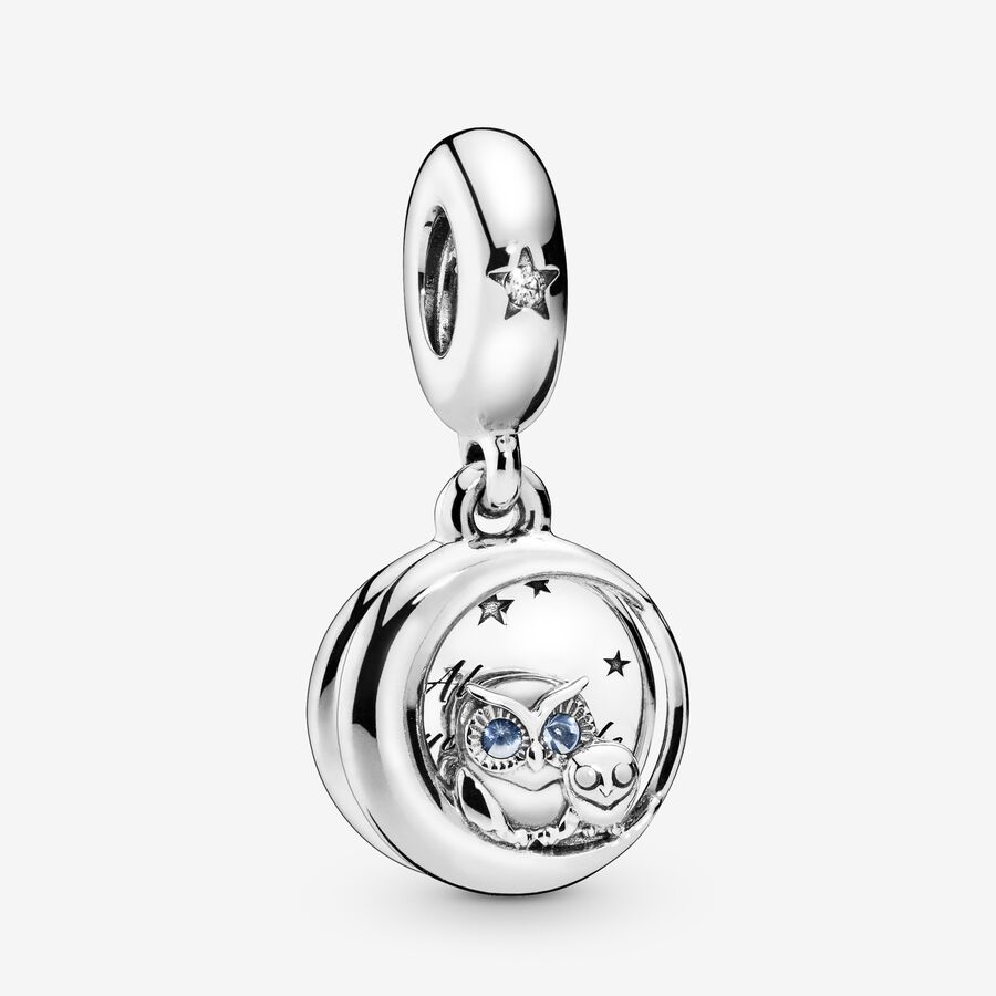 Always by Your Side Owl Dangle Charm image number 0