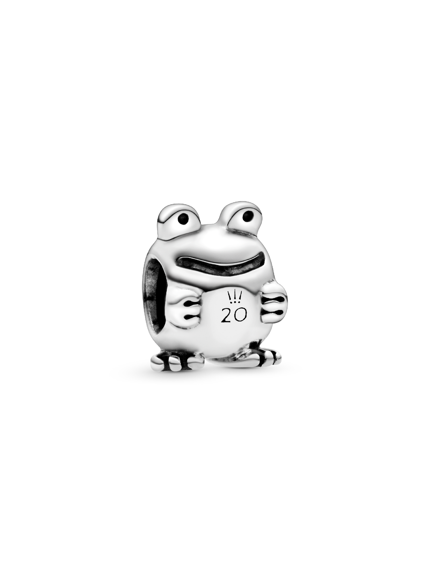 20th anniversary frog sterling silver charm | Sterling silver