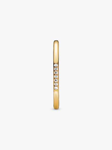 Multifaceted Ring