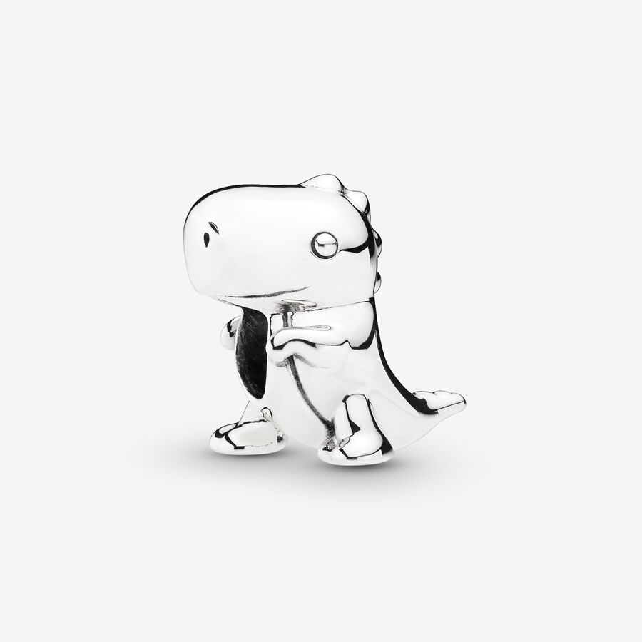 Dinosaur silver charm image number 0
