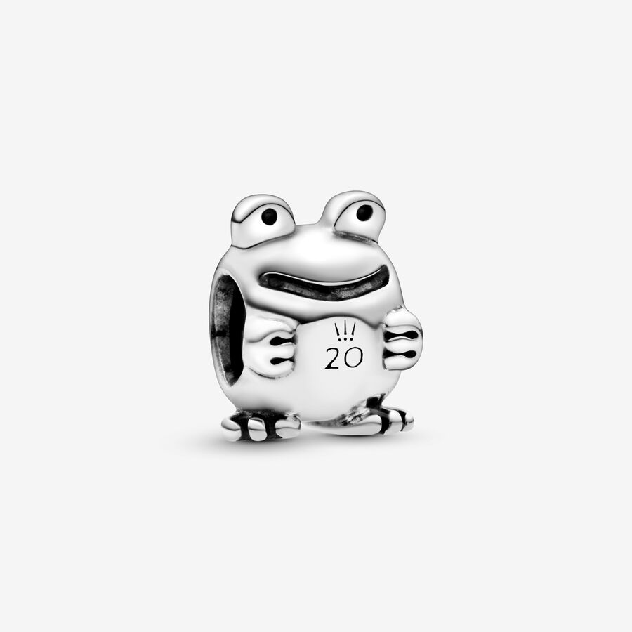20th anniversary frog sterling silver charm image number 0