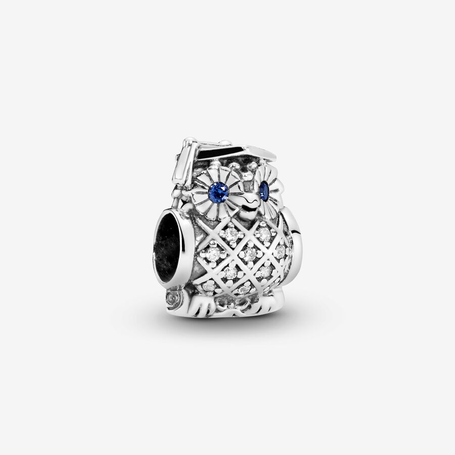 Owl silver charm with swiss blue crystal and cubic zirconia image number 0