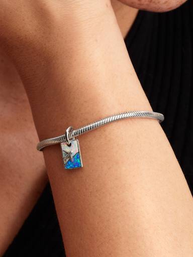 Travel Dangle Charm
