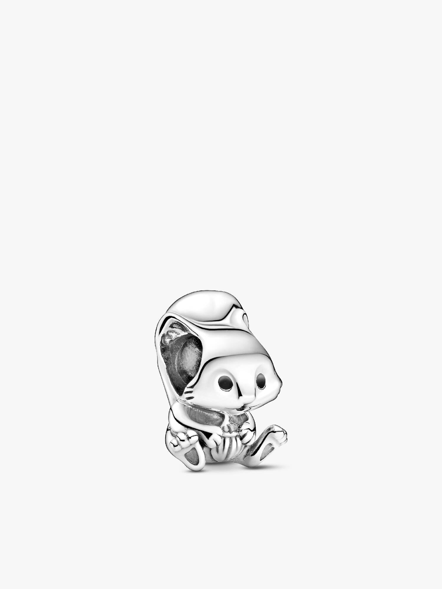 Cute Squirrel Charm