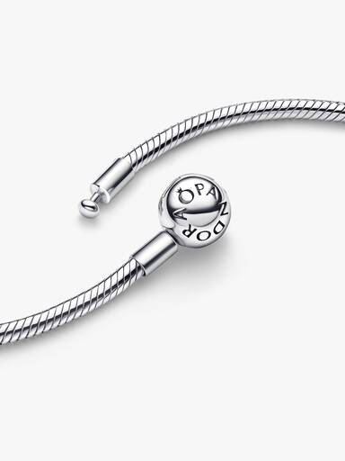Snake Chain Necklace