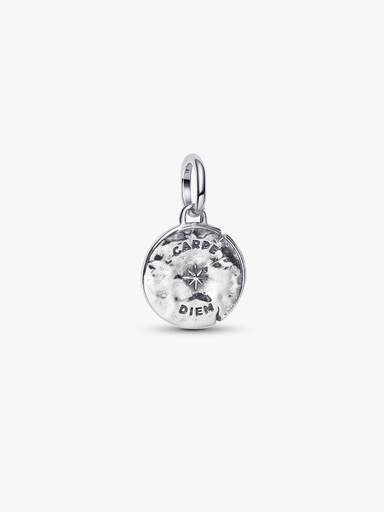 Skull Medallion Charm